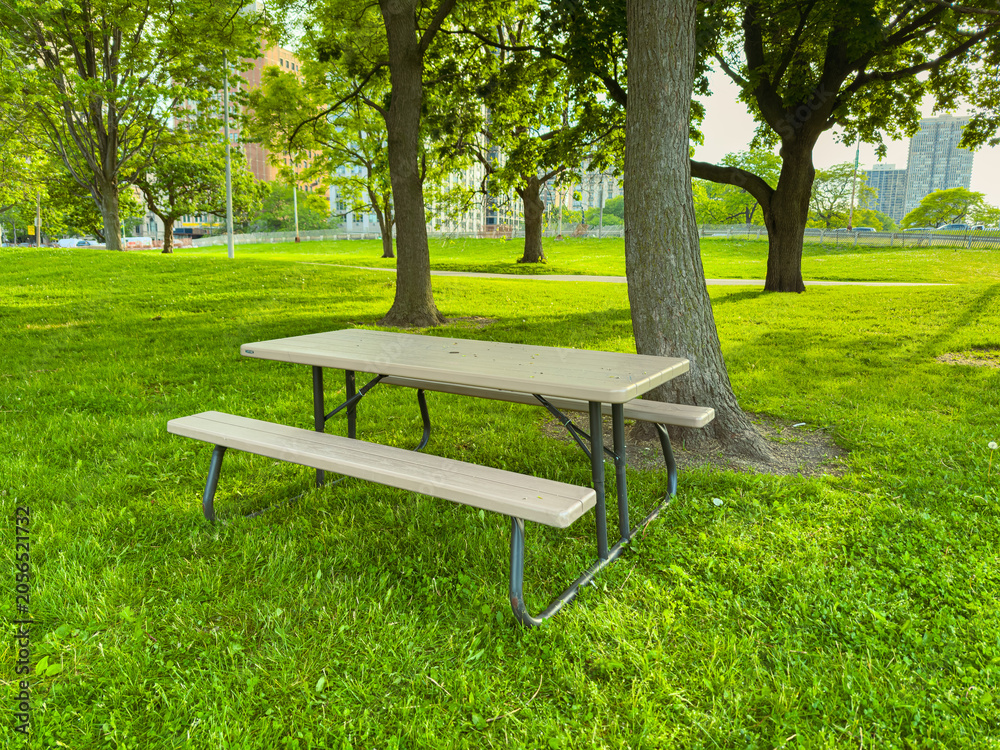 Fototapeta premium Table and bench under trees in a park during the day with green grass and buildings in the background