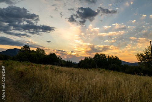 Golden sunset over a dry meadow with tall grass, trees, hills and dramatic clouds, creating a peaceful rural landscape with warm evening light and open natural space.