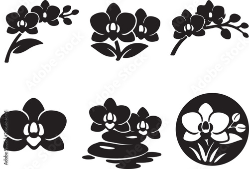 White Orchid Icon – Vector Illustration