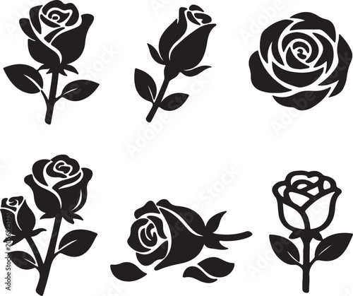 White Rose Icon – Vector Illustration