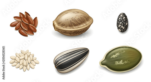 Seeds and nuts are displayed on a surface for inspection purposes