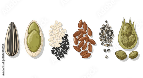 Variety of seeds and nuts are displayed on a surface