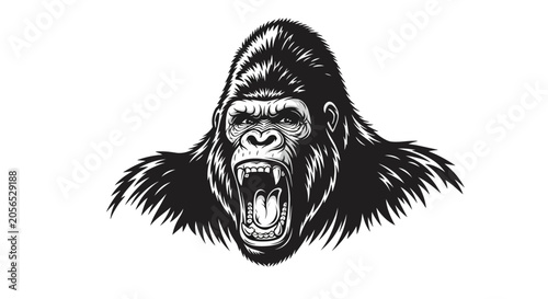 Fényképezés Angry Gorilla Face Close Up Portrait.
