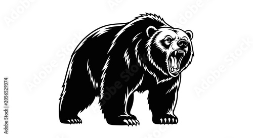 Foto Black bear standing on ground.