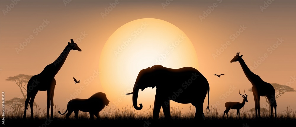 Obraz premium African Safari Animal Illustrations Set with Various Wildlife Characters