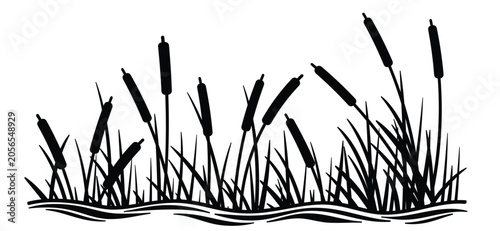 Foto cartoon lisdodde or typha latifolia It is an aquatic plant