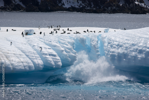 Фотография Striated iceberg with gentoo penguins, calving along the coast of South Georgia