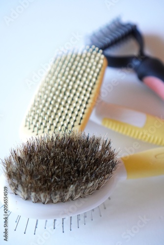 Pet grooming brushes and combs on white background