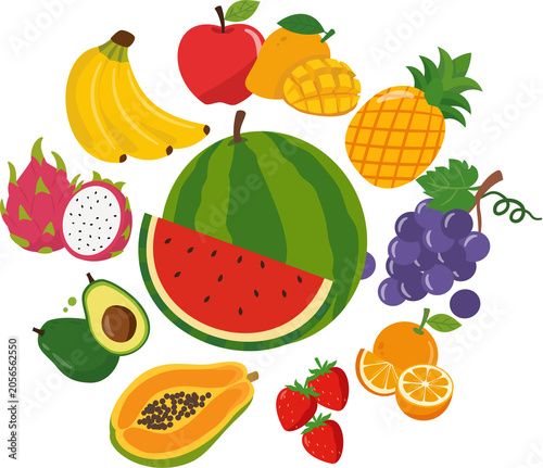 Fruit illustration