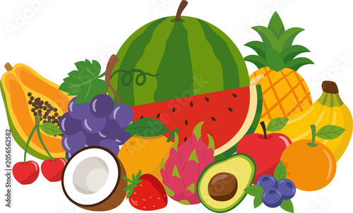 Fruit illustration