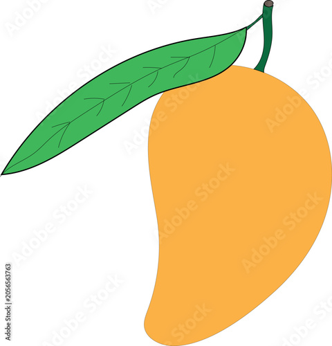 drawing of a mango with one veined leave.