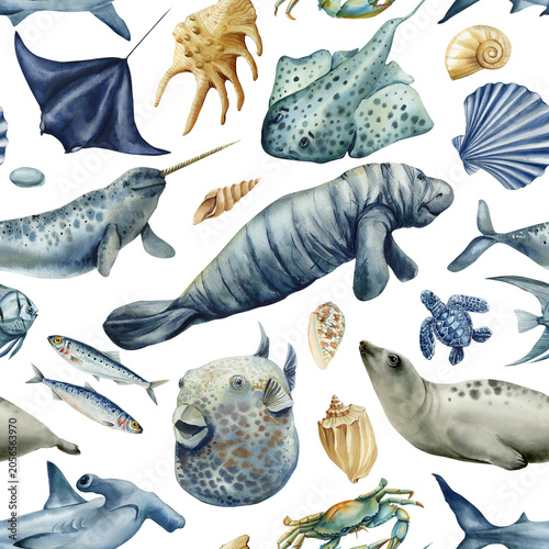 Photography manatee narwhal stingray watercolor seamless pattern with seal turtle shark fish