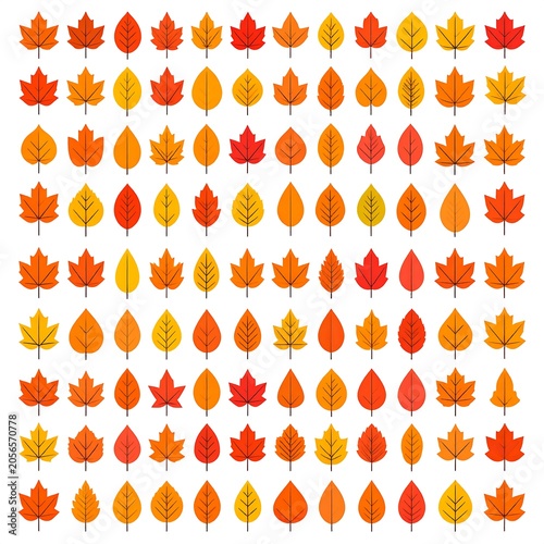 Colorful Autumn Leaves Arranged in Neat Grid on White Background