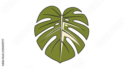 Monstera Leaf Vector Illustration