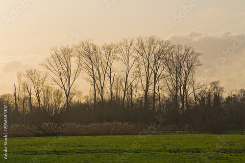 Quadro su tela Colorful winter evening sky over a marsh landscape in the flemish countryside