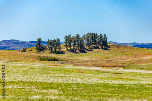 Fotografía Wind Cave National Park Centennial Trail Landscape