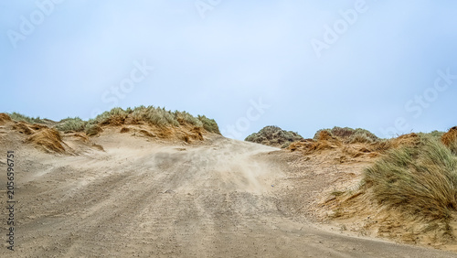 Close up on Camber Sands Beach dune, East Sussex, UK