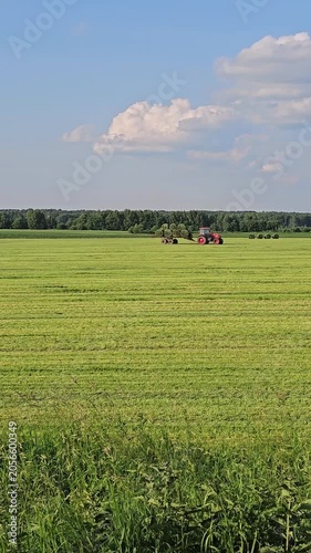 Vertical video of a large green agricultural field with round hay bales and a distant tractor near a forest on a summer day. Rural countryside landscape, farming and agriculture concept.