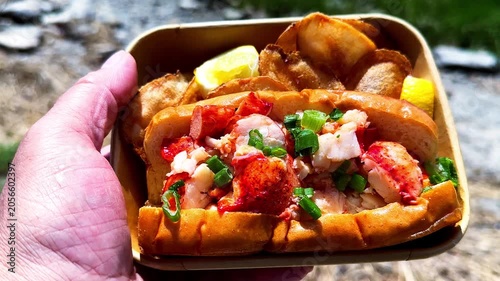Close-up point of view of a hand holding a fresh lobster roll with potato chips. Delicious seafood meal being eaten outdoors near a beach