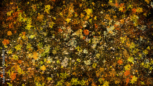 秋色のペンキスプラッターグランジテクスチャ背景/Autumn paint splatter grunge texture background