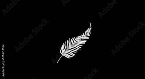Minimalist white silver fern leaf illustration on a black background