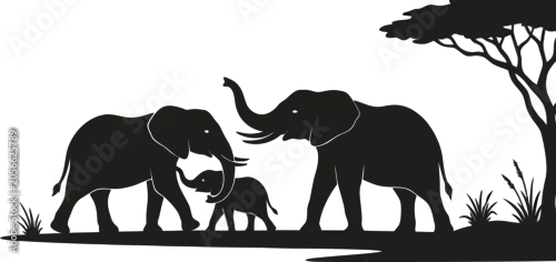 Fototapeta na wymiar Elephant Family Silhouette Against A White Background African Wildlife Scene