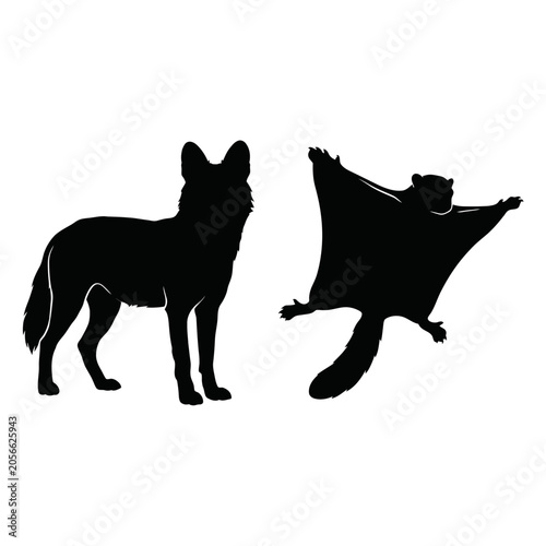 Fotografija Detailed silhouette graphic of a fox and a gliding flying squirrel with squirrel