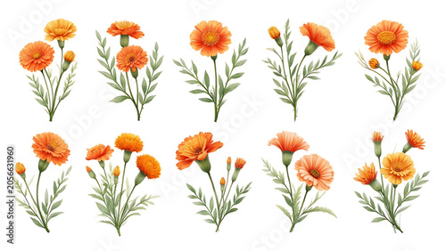 Watercolor floral bouquet illustration set of Marigold Flowers in vibrant orange and yellow tones, and Daylily Flowers in soft golden peach hues for elegant botanical art

