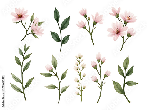 Watercolor floral bouquet illustration set of Night Blooming Jasmine Flowers in delicate white petals, and Coreopsis Flowers in bright golden yellow tones for elegant botanical art

