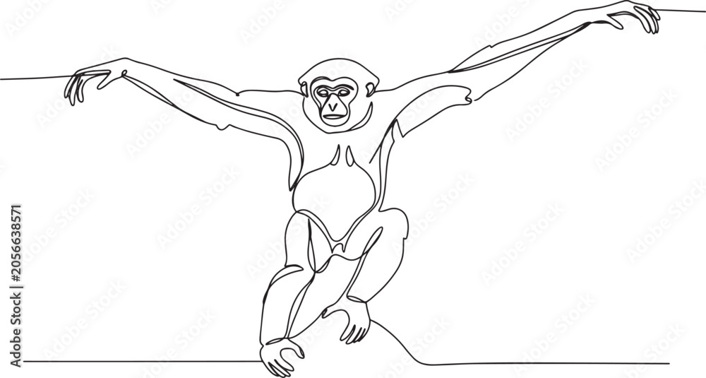 Fototapeta premium Line drawing of a gibbon monkey with outstretched arms, minimalist art.