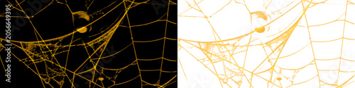 Bright golden spider web with intricate organic patterns for halloween decorations and spooky design concepts.