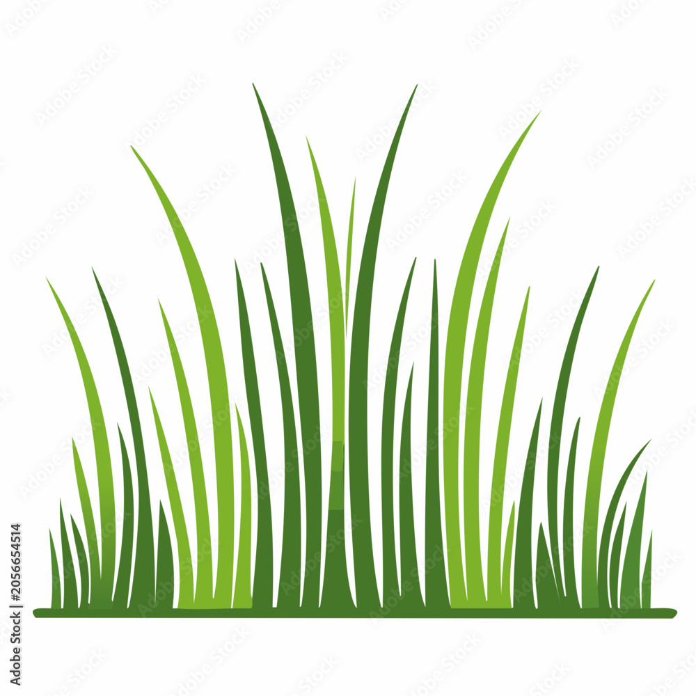 Fototapeta premium Green Grass Illustration