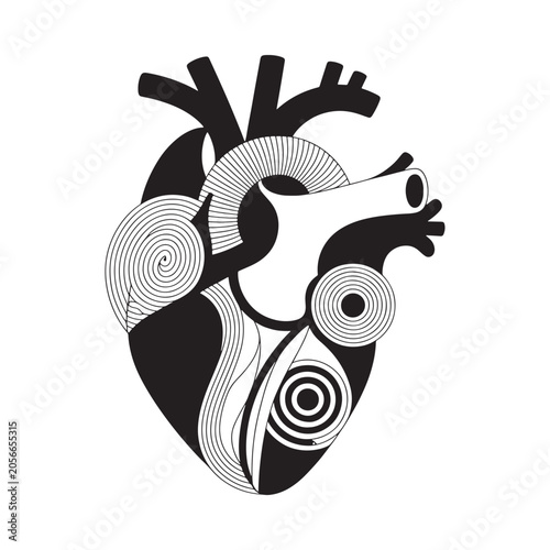Anatomical heart illustration black and white linear design on a transparent background