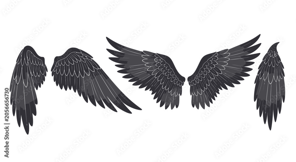 Obraz premium Set of Detailed Black Angel or Bird Wings in Various Positions