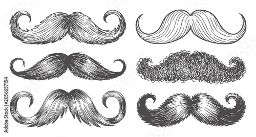 A collection of various hand-drawn vintage mustache styles isolated on a white background for projects