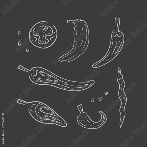 Foto hand dram icon set in doodle style