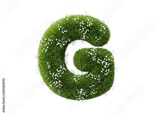 Letter G Made of Green Grass and White Flowers