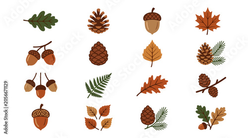 Autumn Leaves and Pine Cones.