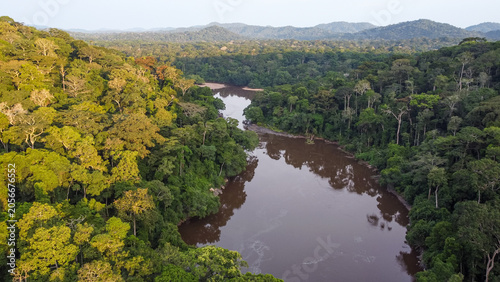 Fotografía Dja river in Congo basin rainforest