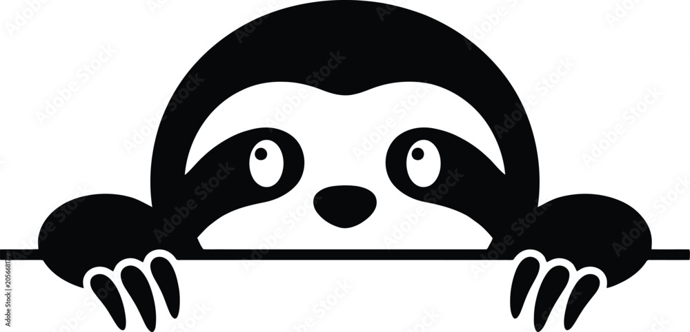 Fototapeta premium Adorable cartoon sloth peeking over a horizontal line with its face and paws looking curiously from above a border