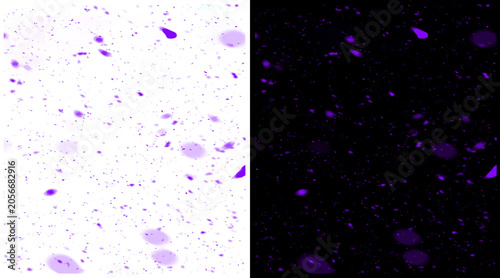 Bild auf Leinwand Microscopic purple nerve cells on white and black backgrounds, histological brai