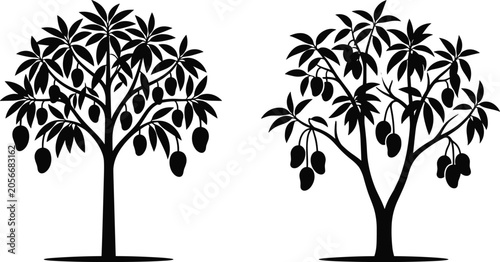 Mango Tree Silhouette Collection Featuring Tropical Fruit Bearing Trees Botanical Nature Illustration and Orchard Agriculture Design