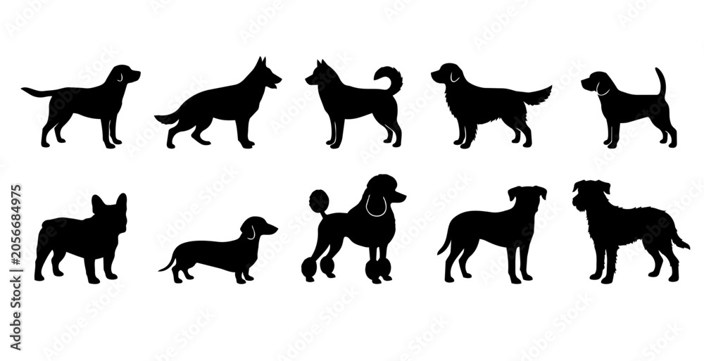Obraz premium Domestic Dog Breeds Black Silhouette Set