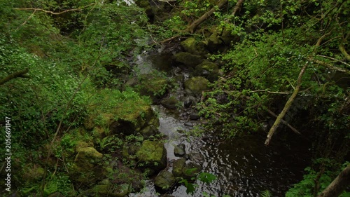 Overhead View of River Flowing Through Lush Green Gorge