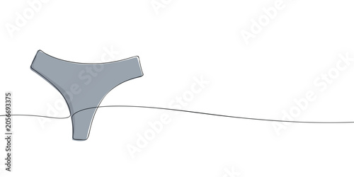 Fotografie Grey bikini bottom swimsuit
