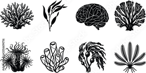 Photos Marine Life And Coral Reef Vector Icon Set Featuring Sea Anemone Seaweed And Low