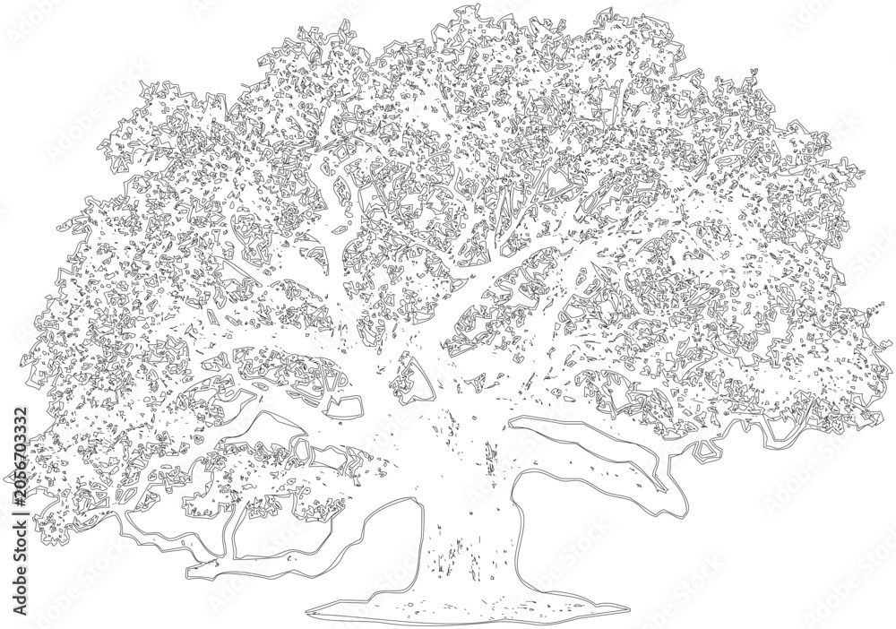 Obraz premium Architectural drawing of large ancient tree with detailed branches and foliage, line art, vector illustration, natural design element for environmental concepts