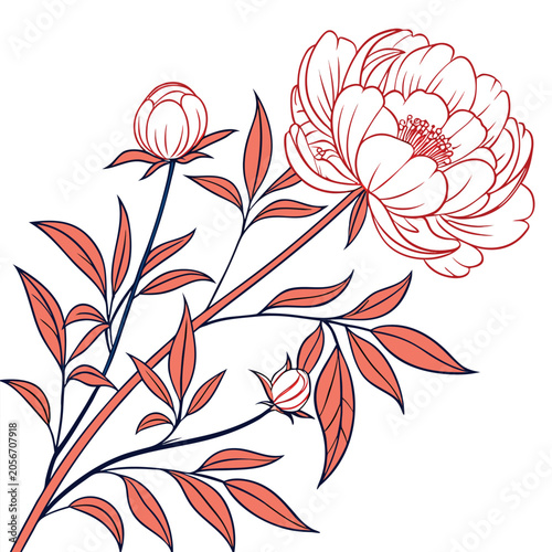 coral peony with leaves