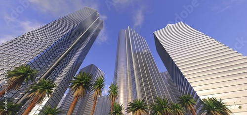 Photography Palm trees and skyscrapers, skyscrapers and palm trees, palm trees against a bac