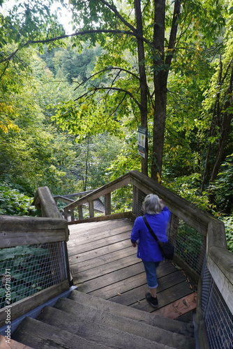 senior woman walking in the forest